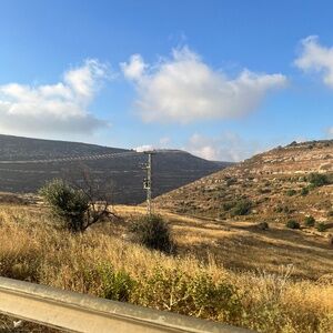 Meet your Posher, Danya